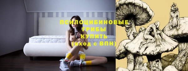 Альфа ПВП Белокуриха