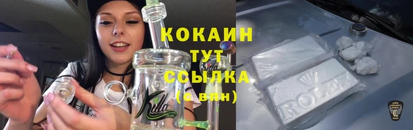Альфа ПВП Белокуриха
