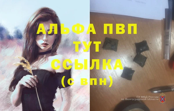 молекула духа Богородск