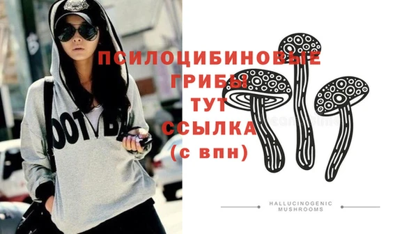 Альфа ПВП Белокуриха