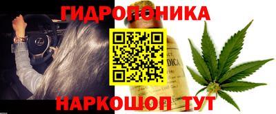 каннабис Берёзовский