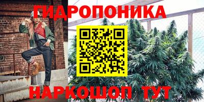 первитин Бийск