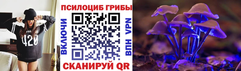 даркнет телеграм Губкинский Псилоцибиновые грибы мицелий