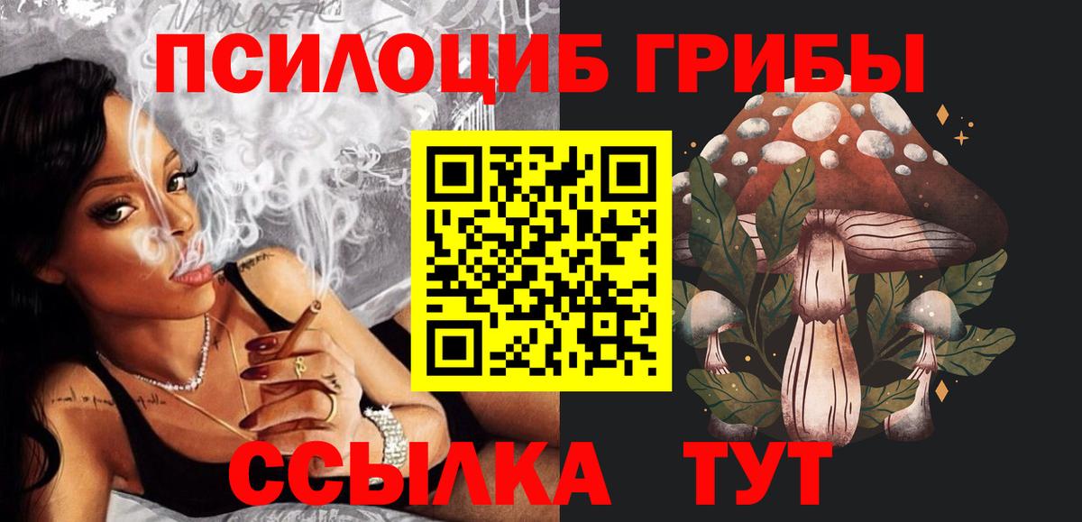 Псилоцибиновые грибы Psilocybine cubensis Губкинский