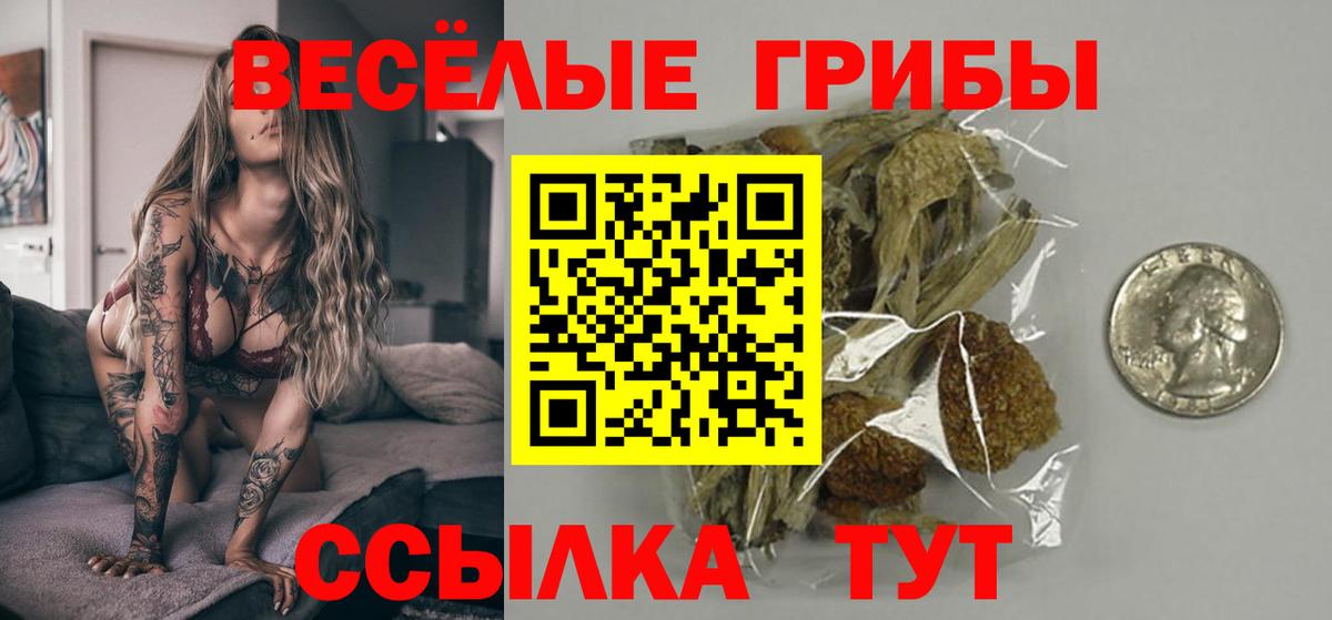 Губкинский  Галлюциногенные грибы мухоморы  Галлюциногенные грибы прущие грибы  Вход с VPN 