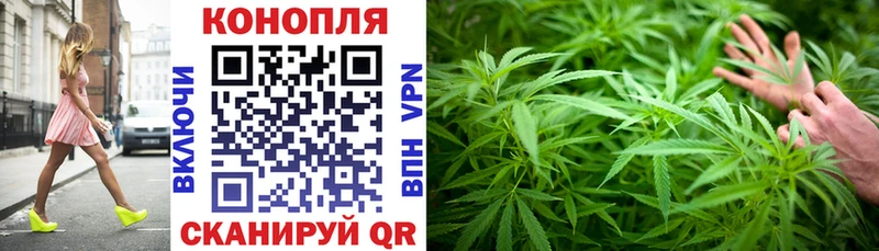 Бошки марихуана OG Kush купить закладку ссылка на мегу рабочий сайт Губкинский